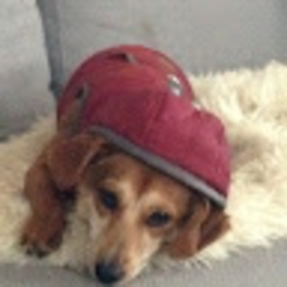 Meet your Posher, Cecilia - Picture 1 of 1